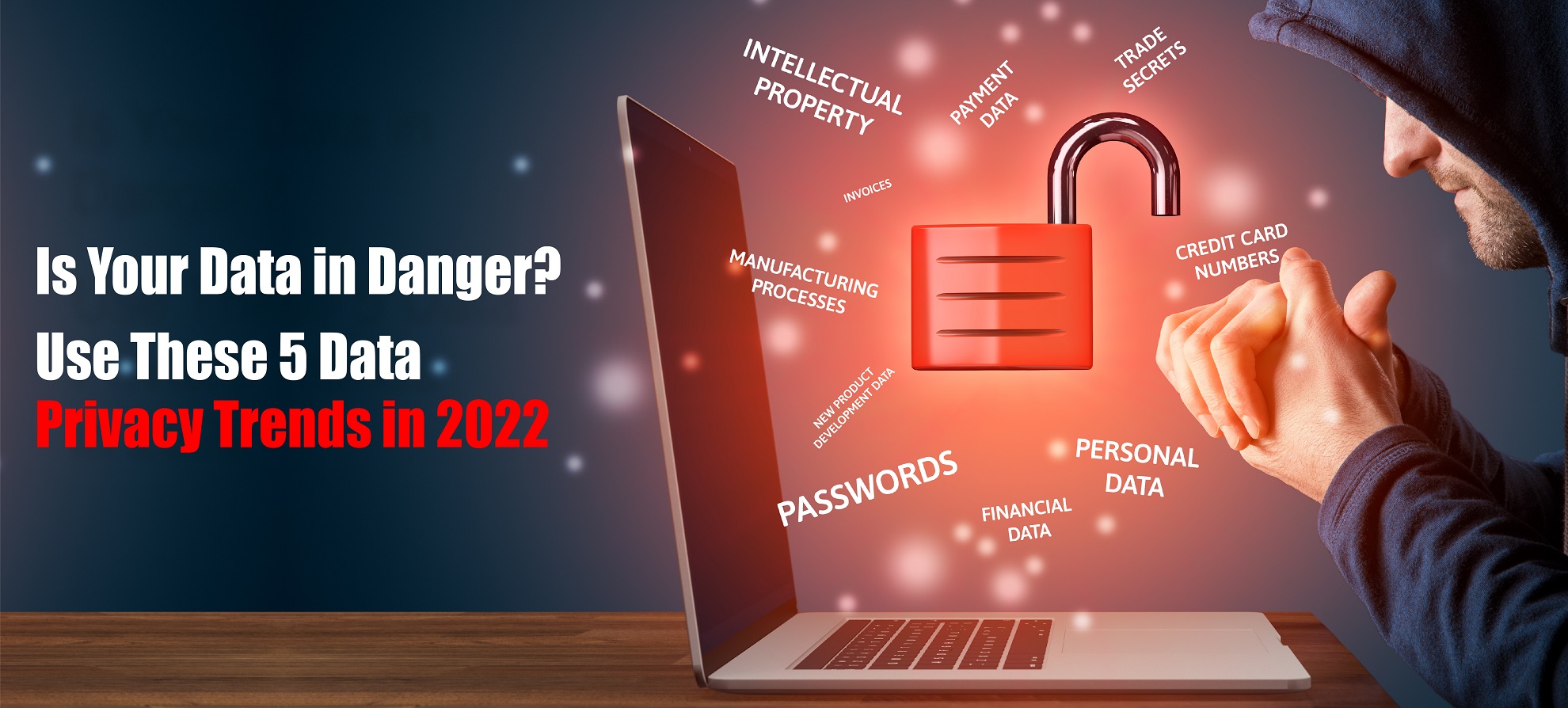 Is Your Data in Danger? Use These 5 Data Privacy Trends in 2022