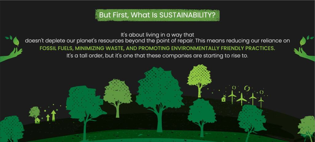 sustainability definition