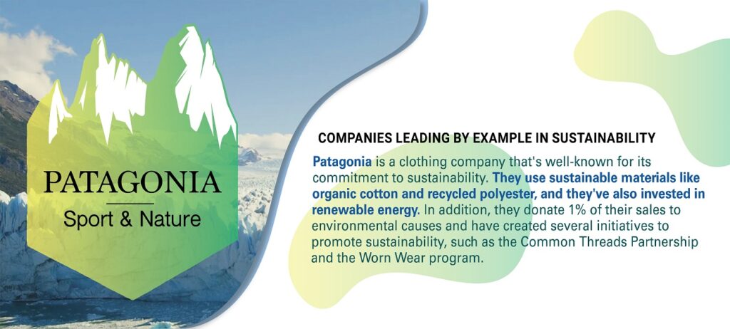 sustainability at Patagonia